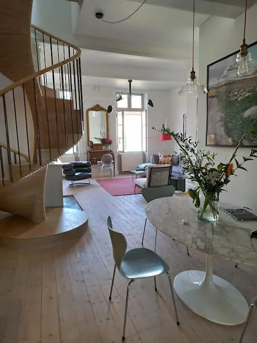 Appartement Grand T3 Traversant Hypercentre Montauban