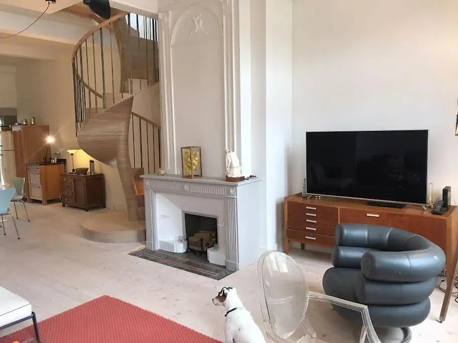 Appartement Grand T3 Traversant Hypercentre Montauban