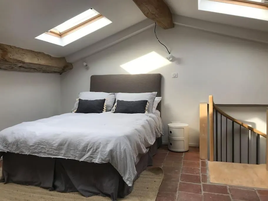 Appartement Grand T3 Traversant Hypercentre Montauban France